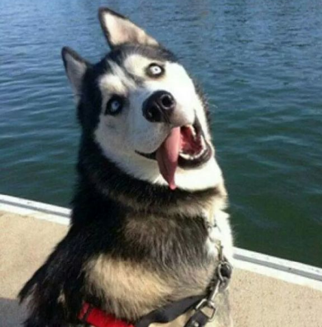 筆記本關(guān)機(jī)