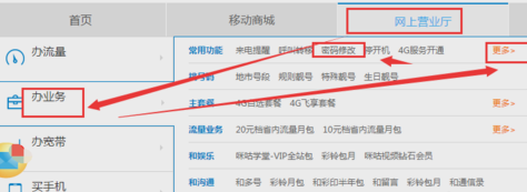 手機服務(wù)密碼