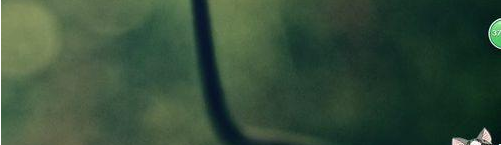 網(wǎng)絡(luò)受限