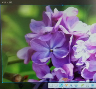 截屏快捷鍵是什么