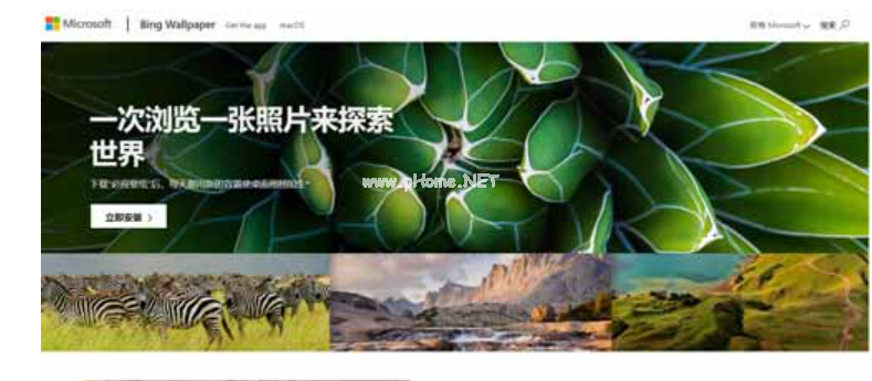 壁紙軟件有哪些好用