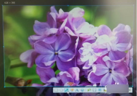 電腦截屏的快捷鍵是哪個(gè)