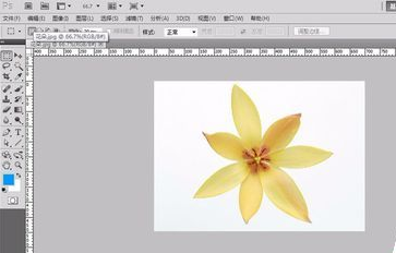 手把手教你ps圖章工具怎么使用