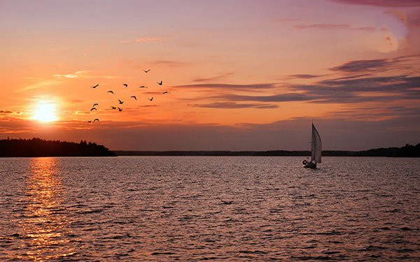 win10主題的壁紙