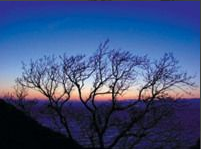 白平衡調(diào)整