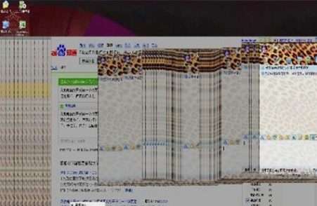 電腦網(wǎng)絡(luò)卡