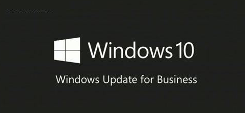 windows10企業(yè)版